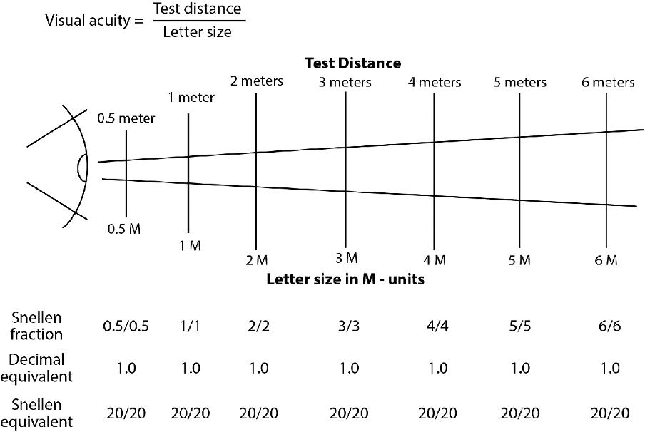 How to Use the Snellen Chart for Vision Testing