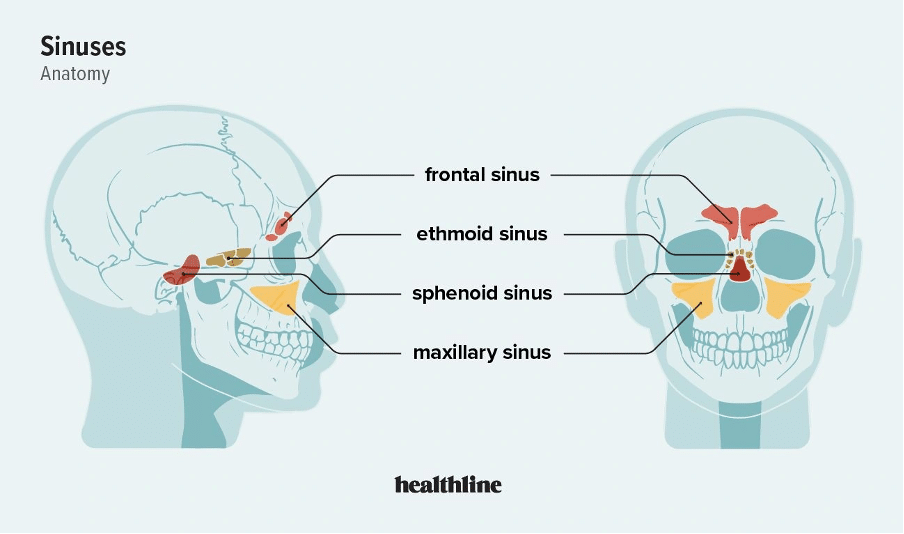 Can Cataract Surgery Affect Your Sinuses?